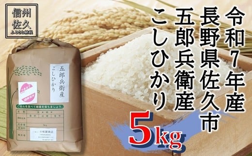 【令和7年産・白米５kg】五郎兵衛産こしひかり（北海道・沖縄・離島は配送不可）信州　長野県　佐久市　浅科　精米　新米【米 コメ 白米 精米 お米 こめ おこめ 備蓄品 仕送り おすそ分け 備蓄米 コシヒカリ こしひかり 長野県 佐久市 】 1409779 - 長野県佐久市