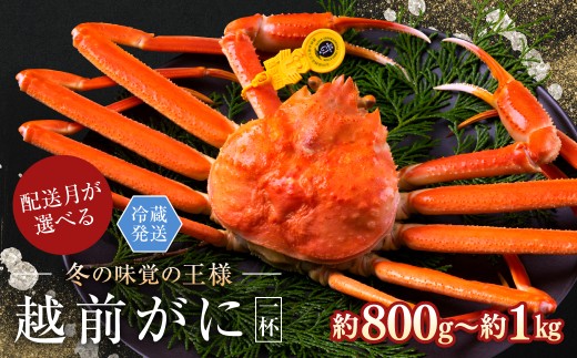 【2026年2月発送・月指定可】越前がに（オス）「ずわいがに」 大サイズ（800g-1kg） 1杯