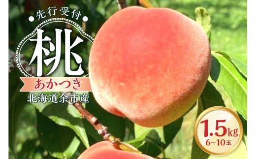 【2026年産 先行予約】＜北海道余市産＞桃「あかつき」1.5kg（6～10玉）