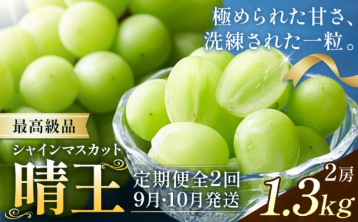 【2026年発送先行予約】シャインマスカット 晴王 2ヶ月 定期便 1.3kg(2房)×2回お届け 最高級品 シャイン マスカット《2026年9月中旬-10月中旬頃出荷予定》 晴レ乃青果(岡山中央卸売市場店(富士紙工有限会社)) 送料無料 岡山県 果物 【配送不可地域あり】