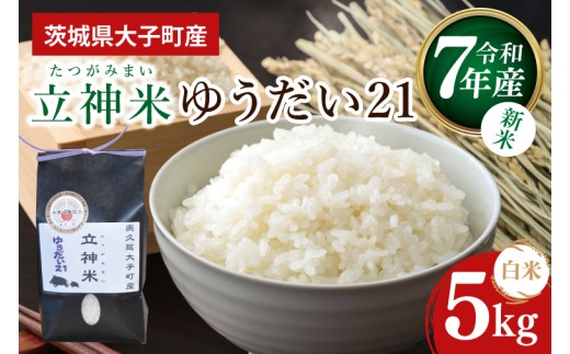 【新米】令和7年産 立神米ゆうだい21（白米）5㎏｜茨城県 大子町 コシヒカリ 米 コンテスト 受賞 生産者 大子産米 産地直送 モチモチ 甘い（BT074）