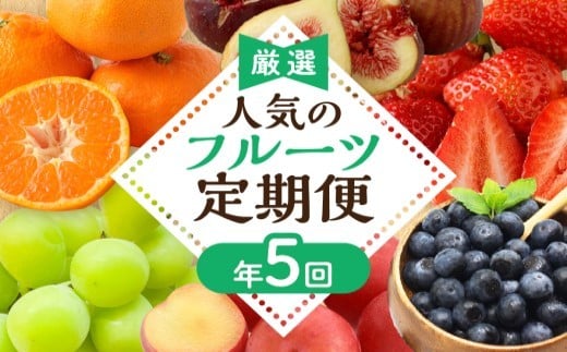 【定期便/年5回】JAむなかた厳選！人気フルーツ定期便