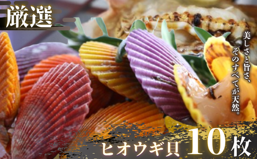 殻を器にして、カラフルなグラタンが作れます！