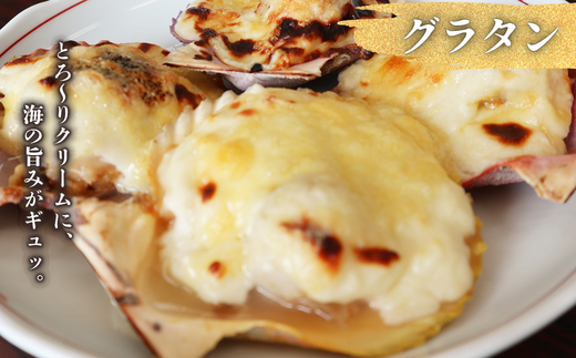 殻を器にして、カラフルなグラタンも作れます！　貝の甘みと海のうまみがギュッと詰まったグラタンは口に入れた瞬間、思わず唸るおいしさ