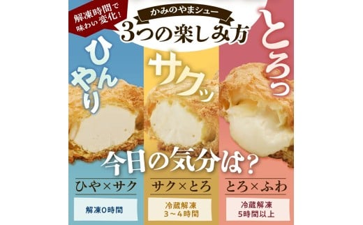 山形県上山市のふるさと納税 かみのやまシュー　６個　0048-2503