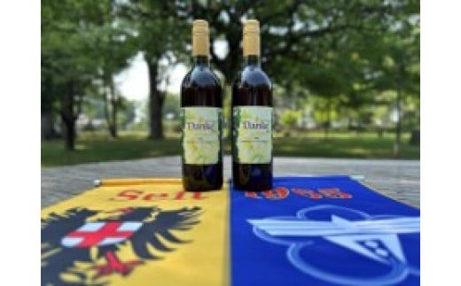 2024年産　姉妹都市ワインセット