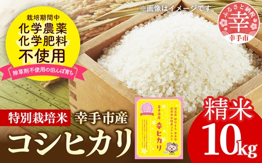 【令和7年産】無農薬・無化学肥料栽培 埼玉県幸手市産特別栽培コシヒカリ 「幸ヒカリ」精米10kg - 新米発送 コシヒカリ こしひかり 米 精米 10kg 特別栽培米 幸手市産 埼玉県 幸手市