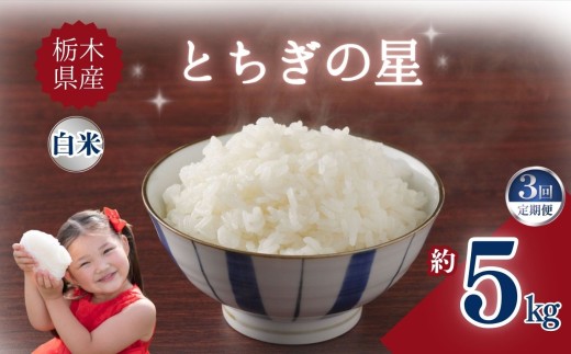 【定期便3回】栃木県産とちぎの星 5kg | お米 米 こめ ご飯 美味しい ふるさと 栃木県 矢板市 【栃木県共通返礼品】 ブランド米