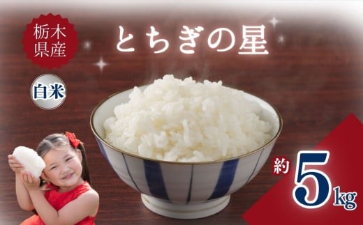 栃木県産とちぎの星 5kg | お米 米 こめ ご飯 美味しい ふるさと 栃木県 矢板市 【栃木県共通返礼品】 ブランド米