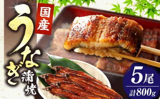 福岡県産 うなぎ 蒲焼 大5尾 合計 800 g（1尾あたり 160g以上）《豊前市》【福岡養鰻】 国産 鰻 蒲焼き [VAD004]