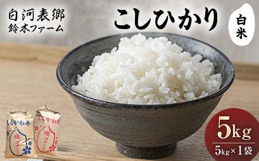 令和7年産米 白河表郷 コシヒカリ 白米 5kg 米 コメ ごはん ご飯 食品 F24R-197