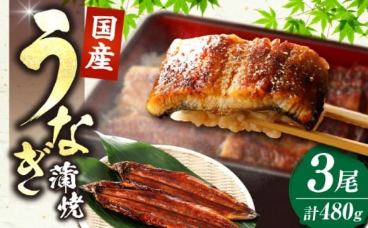 福岡県産 うなぎ 蒲焼 大3尾 合計 480 g（1尾あたり 160g以上）《豊前市》【福岡養鰻】 国産 鰻 蒲焼き [VAD003]