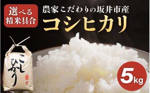 【令和7年産】農家こだわりの坂井市産 コシヒカリ 5kg 【玄米】 【米 コメ お米 5キロ こしひかり ふるさと納税米 ブランド米 国産】 [B-10202_02]