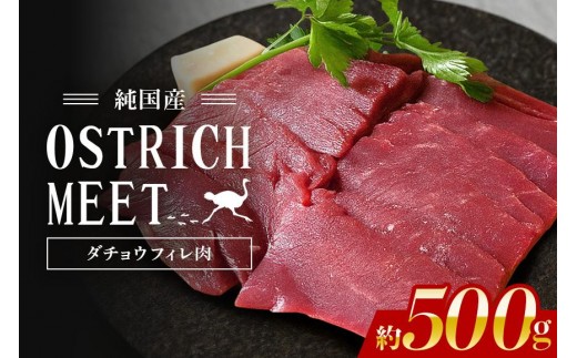 ダチョウ フィレ肉 約500g ダチョウ肉 赤身肉 ヘルシー 低脂肪 低カロリー 高たんぱく質 鉄分 豊富 真空パック 上質 抗生物質不使用 成長ホルモン不使用 国産 ダイエット 健康志向 グルメ ギフト 産地直送 (C05-004)