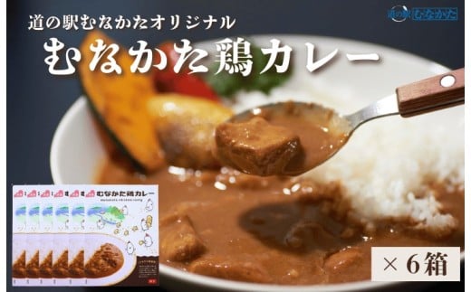 むなかた鶏カレー 6個セット【道の駅むなかた】_HA1827