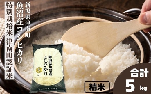 【令和7年産】米 5kg 魚沼産 コシヒカリ 特別栽培米 津南町認証米 | こしひかり お米 おこめ こめ コメ ご飯 ごはん 白米 精米 ブランド米 おすすめ 人気 ギフト プレゼント 新潟県 津南町 711567 - 新潟県津南町