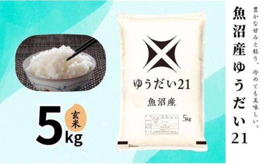 米 魚沼産ゆうだい21(玄米)5kg 新潟市 十日町市 