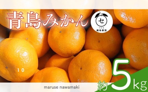 みかん 青島 みかん 約 5kg 先行予約 数量限定  2025年 12月 中旬 から 発送 青島みかん あおしまみかん アオシマ ミカン 蜜柑 mikan 柑橘 果物 フルーツ ふるーつ 濃厚 甘い 甘み おやつ 数量限定 果汁 果実 農家直送 産地直送 ギフト プレゼント 贈答 お中元 お歳暮 美味しい 新鮮 国産 安心 静岡みかん 静岡蜜柑 牧之原みかん マルセ縄巻農園 牧之原市 静岡県
