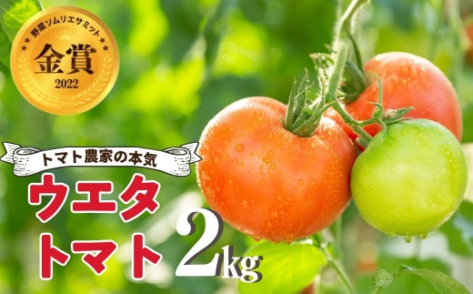《先行予約》 濃厚！ウエタトマトのトマト 選べる 2kg・4kg ／ とまと 冬トマト 野菜 厳選 愛知県 産地直送 田原市 渥美半島 冬季 大玉 大玉トマト 高評価 