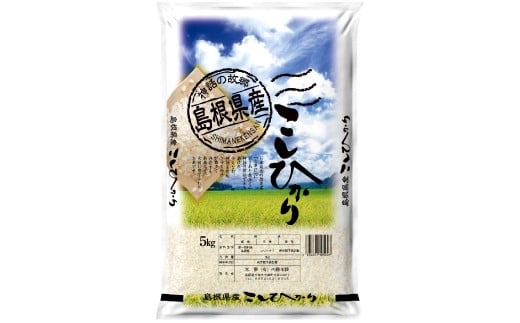 令和７年島根県産コシヒカリ10㎏（5㎏×2袋）【令和7年産 お米 コシヒカリ 10kg こしひかり 2025年産 米 おこめ こめ 島根県産 大田市産】