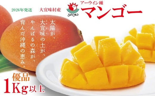 【2026年発送】大宜味村産 アーウィン種マンゴー　優品1キロ以上 フルーツ 果物 くだもの 果実 沖縄 大宜味村 食べ物 国産 優品 九州産 産地直送 ギフト プレゼント トロピカル 送料無料 甘味 スイーツ お取り寄せ デザート マンゴー 1341732 - 沖縄県大宜味村