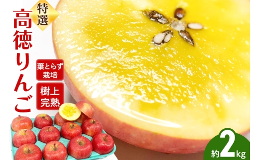 【25年12月発送】りんご 特選 高徳（ こうとく ）りんご 約2kg