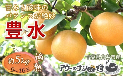 【2026年秋収穫分】 梨 豊水 約5kg 9～16玉 農家直送 千葉県白井市 先行予約受付 アウーファーム 2152240 - 千葉県白井市