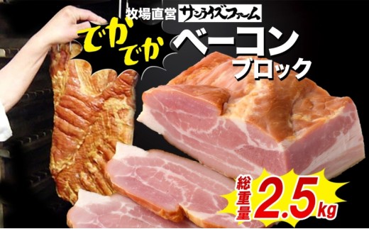 でかでかベーコンブロック約2.5kg 豚肉 国産 肉 ベーコン 大きい デカい 熟成 本格的 桜 スモーク 天然塩 肉厚 ジューシー 夕食 ご飯 つまみ ステーキ つまみ お酒 送料無料 サンライズファーム 千葉県 香取市 KTRAJ026 2418531 - 千葉県香取市