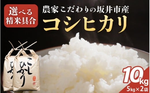 【令和7年産】農家こだわりの坂井市産 コシヒカリ 10kg (5kg×2袋) 【玄米】 【米 コメ お米 5キロ こしひかり ふるさと納税米 ブランド米 国産】 [C-10203_02]