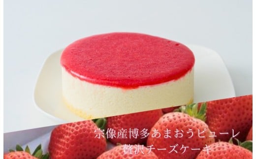 博多あまおうレアチーズケーキ「いっちーず」2個セット【道の駅むなかた】_HA1832