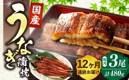 【全12回定期便】福岡県産 うなぎ 蒲焼 大3尾 合計 480 g（1尾あたり 160g以上）《豊前市》【福岡養鰻】 国産 うなぎ 大 [VAD016]