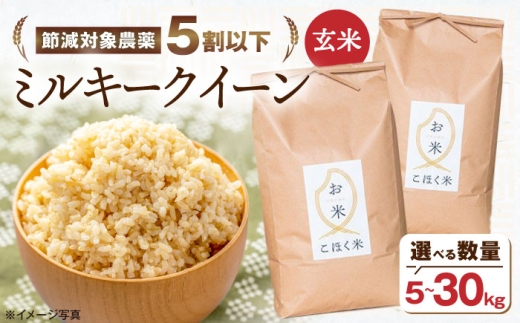 【選べる容量】 滋賀県湖北産 湖北のミルキークイーン 5・10・20・30kg (玄米)　米 お米 ご飯 ごはん ゴハン