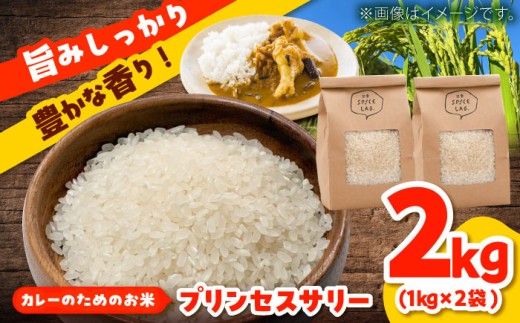 島根県 雲南市 大東町 ブランド米 インディカ米 プリンセスサリー 国産 小分け 人気 おすすめ 在庫限り 数量限定