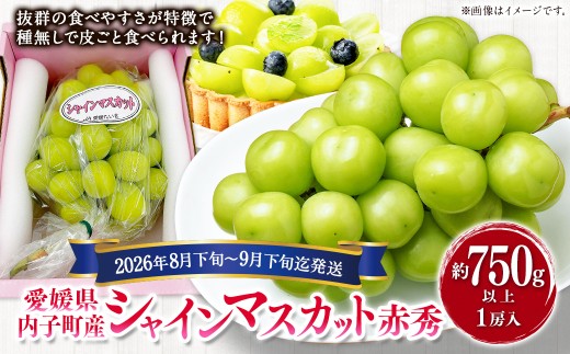 内子町産 シャインマスカット 赤秀 1房入 約750g以上