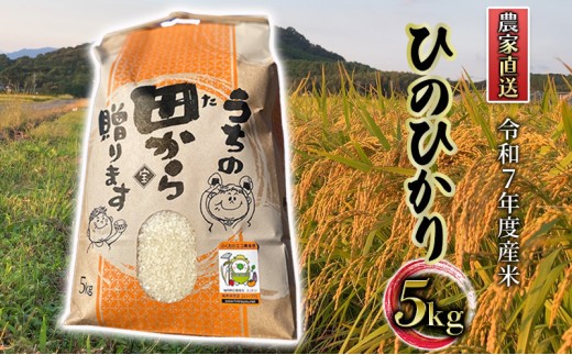 米 5kg 令和7年度産米 ひのひかり 筑後小郡産 農家直送 お米 コメ 281470 - 福岡県小郡市