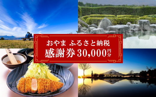 おやま ふるさと納税 感謝券 30,000円分（1,000円券×30枚）【 感謝券 チケット 利用券 静岡県 小山町 買い物 食事 宿泊 】O40 2359845 - 静岡県小山町