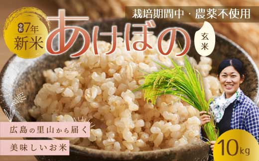 〈令和7年新米〉広島の里山から届く新米「あけぼの」玄米10kg　【栽培期間中農薬不使用】 米 お米 おすすめ 157006 2369408 - 広島県三原市
