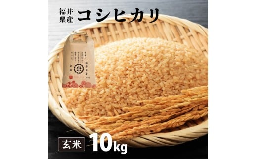 福井県産 コシヒカリ 玄米 10kg（10kg×1）＜令和7年産 新米 / 数量限定 ＞【米 コメ お米 精米 白米 無洗米 玄米 ご飯 飯 こしひかり ブランド米 国産】[095-a004_B]