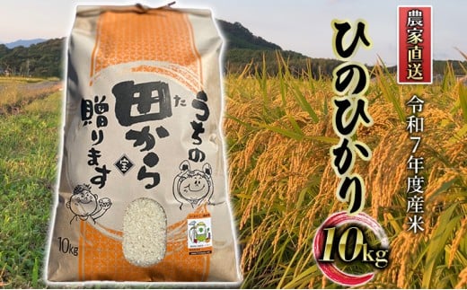 米 10kg 令和7年度産米 ひのひかり 筑後小郡産 農家直送 お米 コメ 282974 - 福岡県小郡市