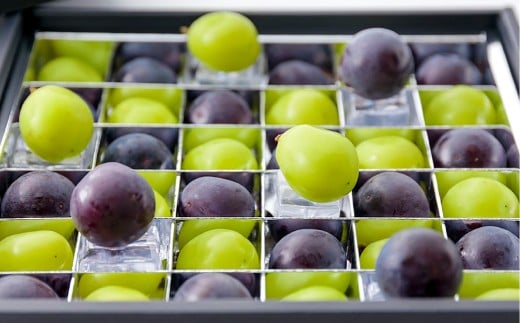 ぶどうの宝石箱（シャインマスカットとニューピオーネ又はオーロラブラック）36粒（1粒14g以上）1箱 贈答用 ぶどう 葡萄 ブドウ マスカット セット 詰め合わせ フルーツ 果物 【2026年8月下旬～9月下旬まで順次発送予定】