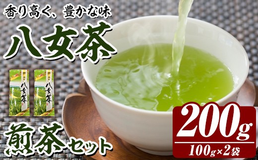 八女茶 煎茶 セット (100g×2袋) 茶 お茶 八女茶 煎茶 パック 福岡県産 【木村食品】as46-017 2369621 - 福岡県芦屋町