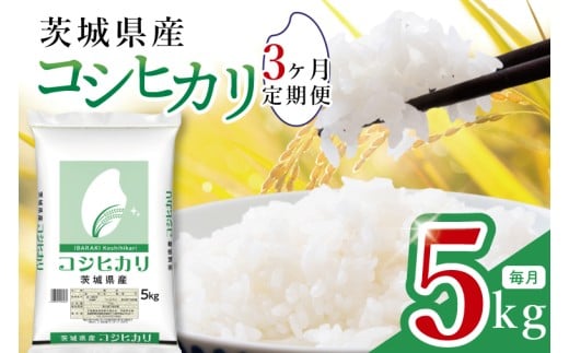 【数量限定】【3ヶ月定期便】茨城県産コシヒカリ5kg×3回 【定期便 お米 ごはん こしひかり おにぎり ごはん 茨城県 水戸市】(JB-21)