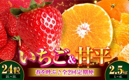 いちご・甘平 春を呼ぶ♪定期便【先行予約】【全2回定期便】 いちご(紅ほっぺ)24粒・甘平2.5kg(Lから4Lサイズ混合) | 先行予約 フルーツ定期便 果物定期便 みかん ミカン かんぺい 甘平 いちご 苺 果物 くだもの フルーツ 愛媛県産 大洲市産 産地直送 おすすめ 人気 お取り寄せ 送料無料 愛媛県大洲市/有限会社西山青果 [AGAR020]