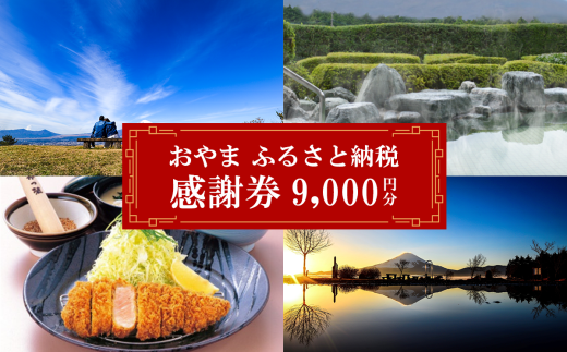 おやま ふるさと納税 感謝券 9,000円分（1,000円券×9枚）【 感謝券 チケット 利用券 静岡県 小山町 買い物 食事 宿泊 】2G17 2359841 - 静岡県小山町