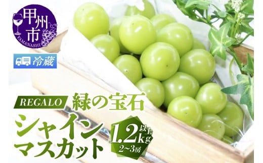 【冷蔵便】頬張る幸福感 ～緑の宝石・シャインマスカット～ 1.2kg以上 2～3房【2026年発送】（RG）B-843CO 【シャインマスカット 葡萄 ぶどう ブドウ 令和8年発送 期間限定 山梨県産 甲州市 フルーツ 果物】