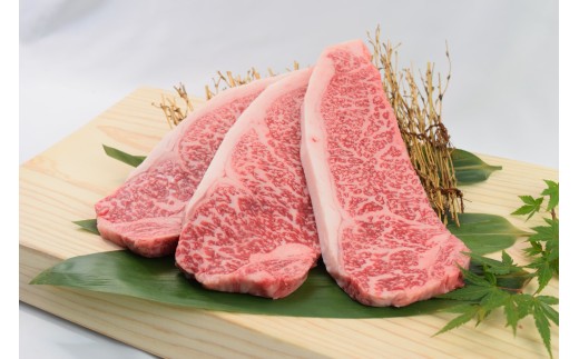 佐賀牛サーロインステーキ600g（200ｇ×3枚） 149-J1819 2370125 - 佐賀県伊万里市