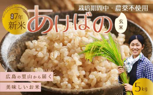 〈令和7年新米〉広島の里山から届く新米「あけぼの」玄米５kg　【栽培期間中農薬不使用】 米 お米 おすすめ 157005 2369407 - 広島県三原市