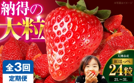 いちご【先行予約】【全3回定期便】いちご(紅ほっぺ)24粒 | 人気 おすすめ ランキング おいしい 甘い 苺 イチゴ 大粒 高級 送料無料 デザート スイーツ 果物 フルーツ 愛媛県大洲市/有限会社西山青果 [AGAR017]