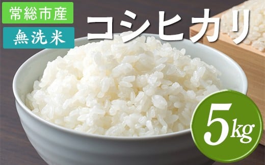 【令和7年産】無洗米 コシヒカリ5kg 茨城県常総市産 2369429 - 茨城県常総市