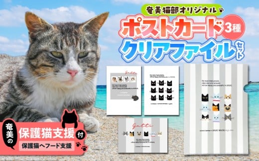 【奄美の保護猫支援（保護猫フード10日分）】＋ポストカード＆クリアファイルセット　A071-008